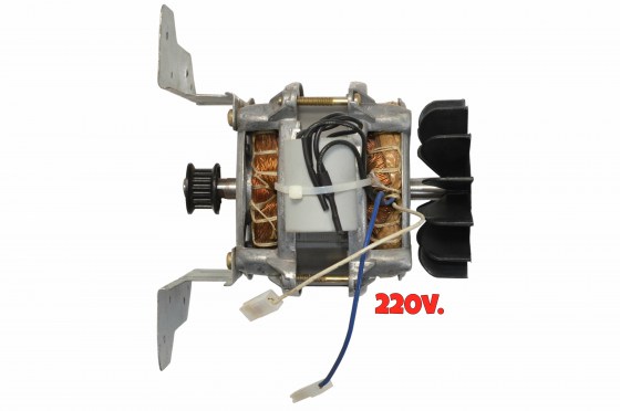 1271 MOTOR  220v.  LATINA (10 Kg.) 1